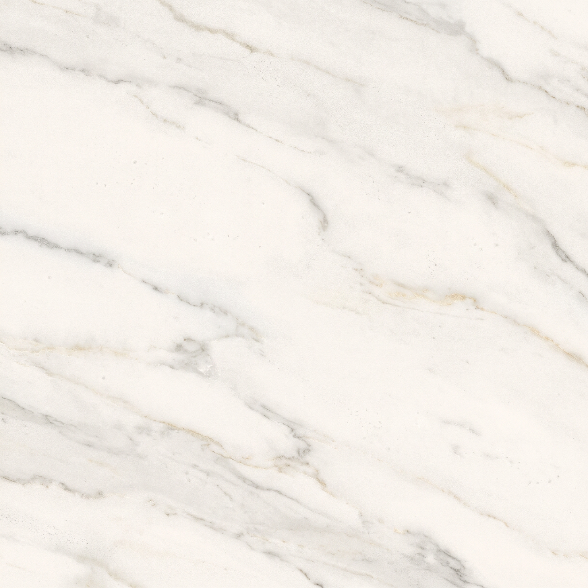 Calacatta Oro Polished